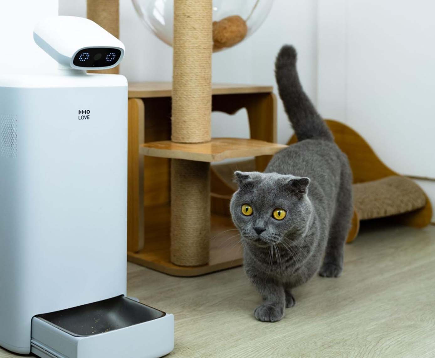 Revolutionizing Pet Feeding: A Comprehensive Guide to Automatic Cat Feeders