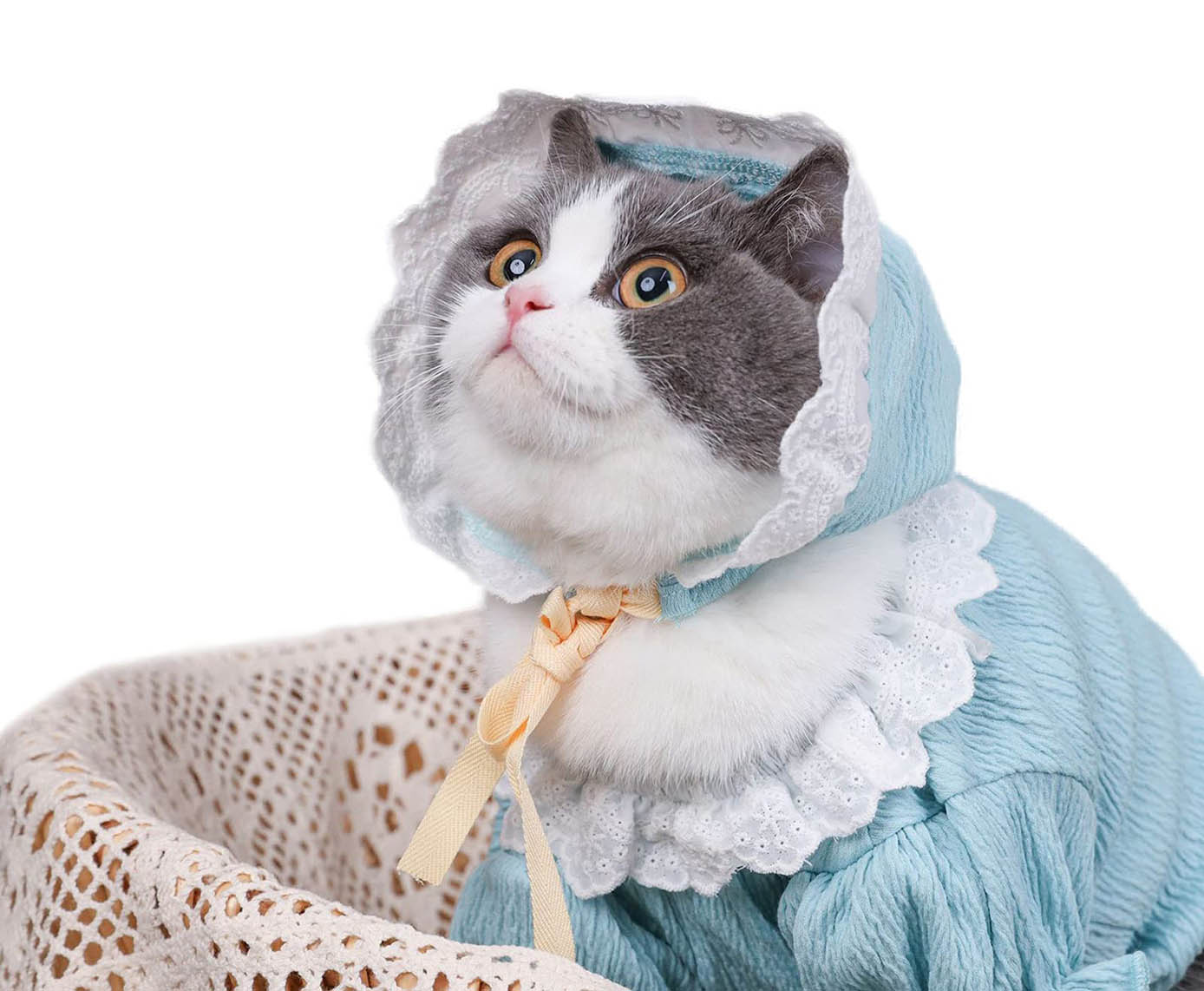 Top Adorable Cat Apparel for Summer