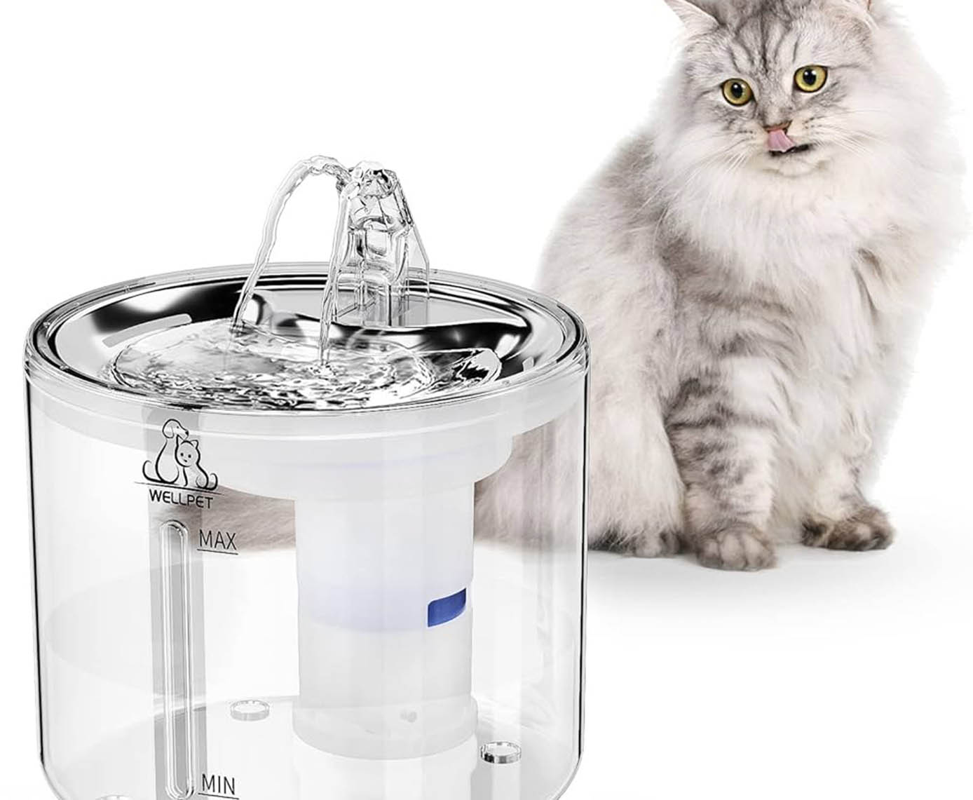 Top Automatic Pet Water Fountains for Cats and Dogs