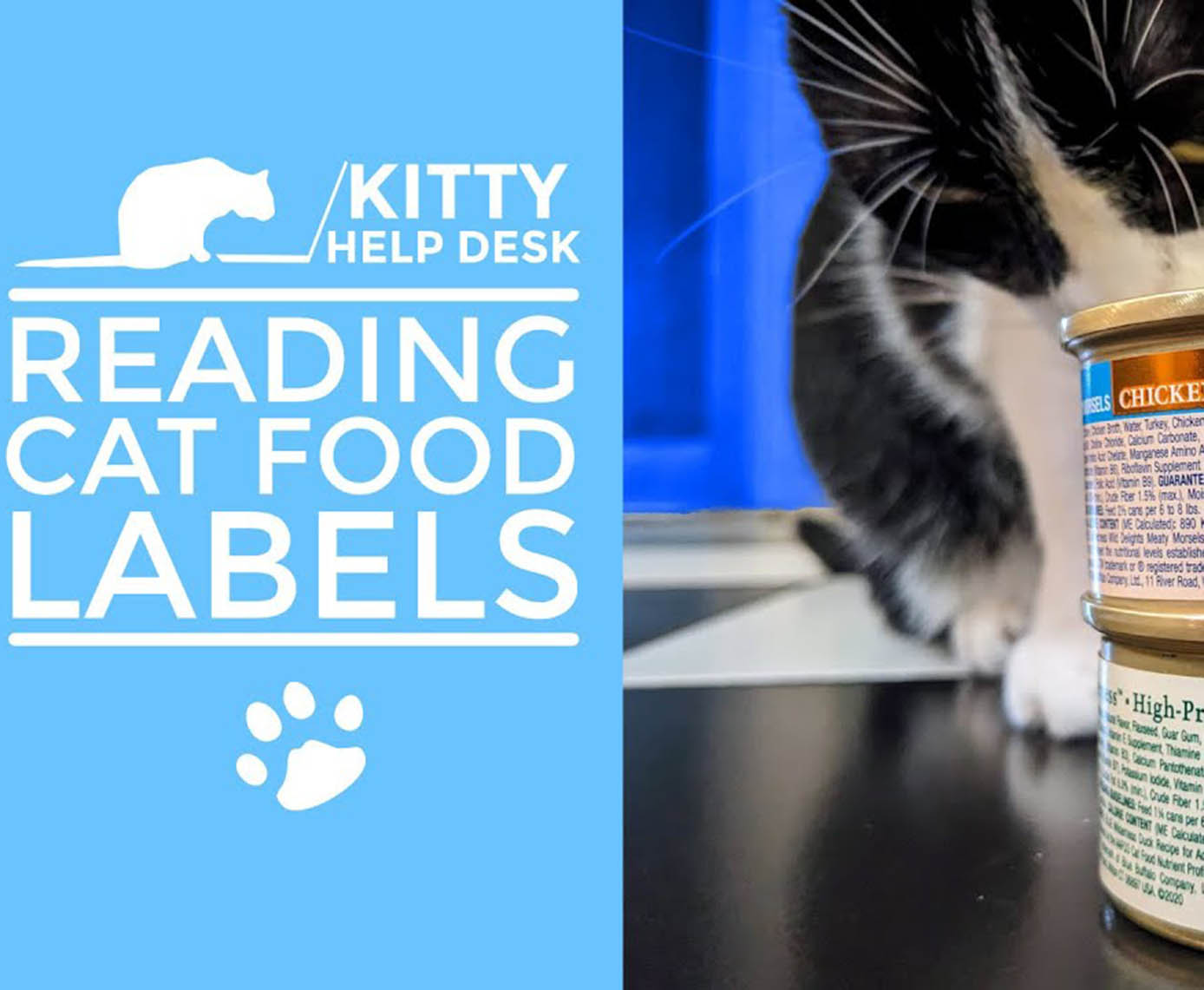 Understanding Cat Food Labels: What to Look For and What to Avoid