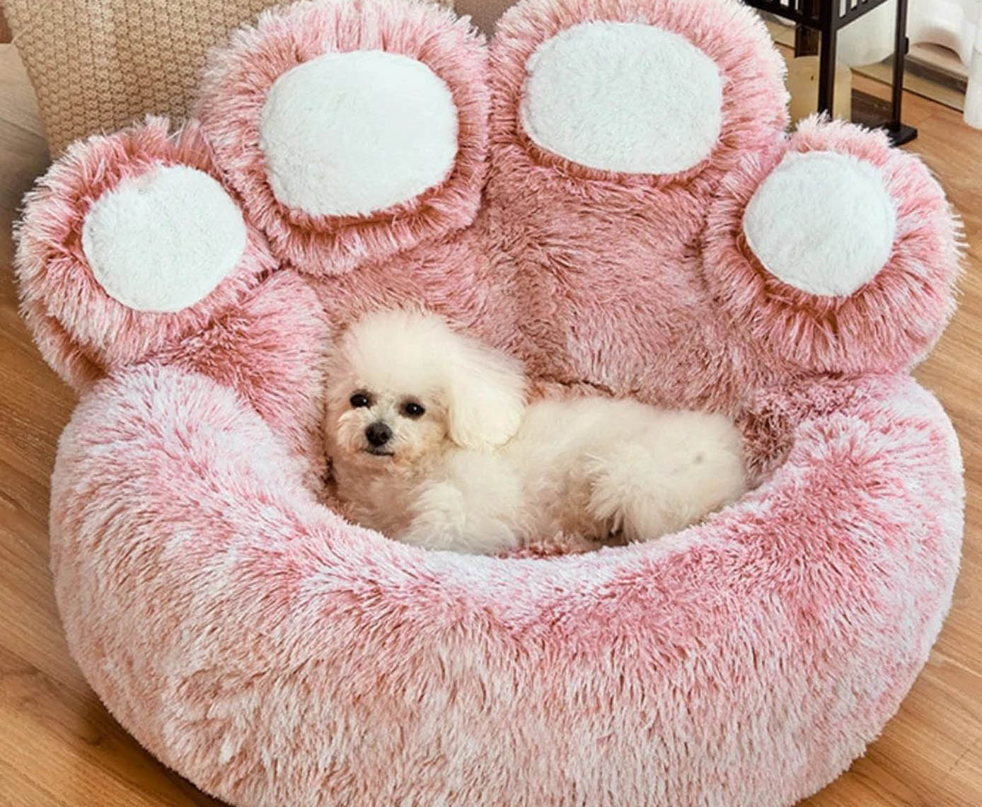 Best Dog Beds for Puppies: Comfort and Support for Growing Paws