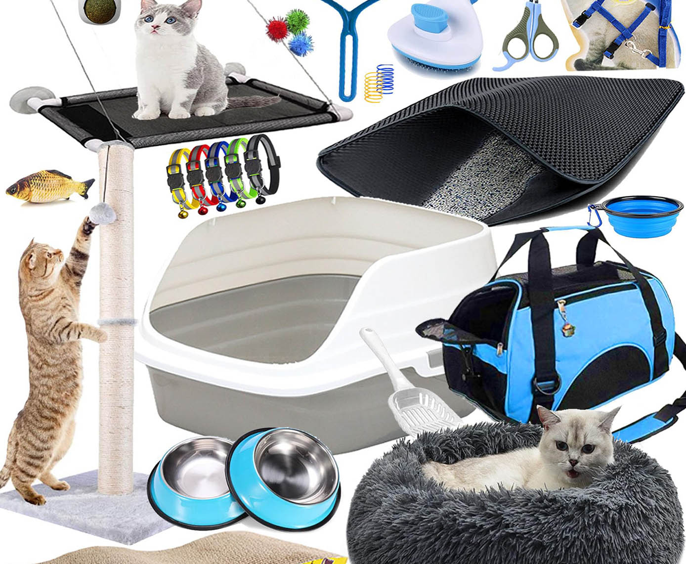 Must-Have Supplies for a New Kitten: A Complete Starter Kit Guide