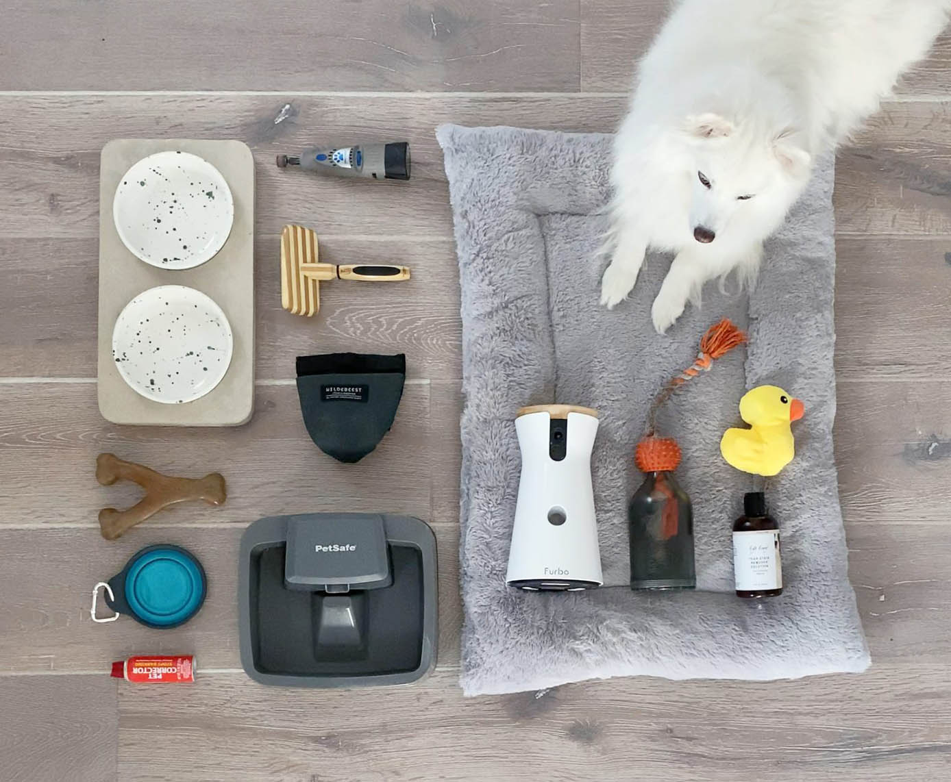 Top 10 Must-Have Pet Supplies Every New Pet Owner Needs