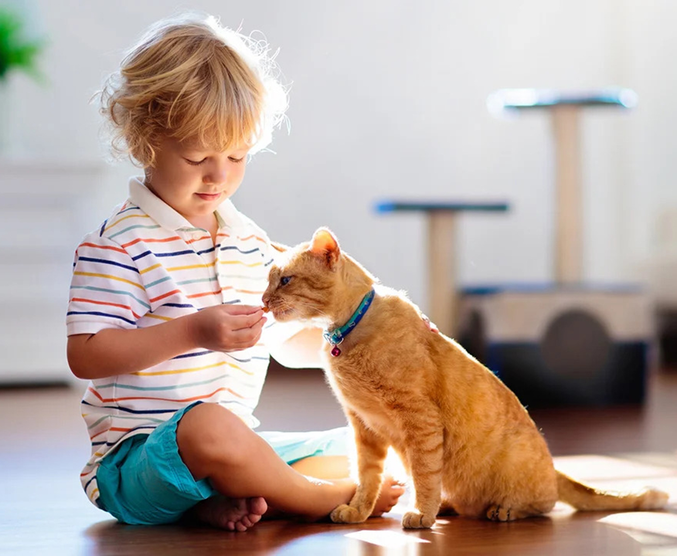 Pets and Kids: How to Co-Raise Them Harmoniously