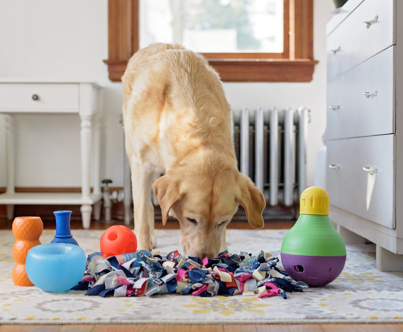 Don’t Overlook Games That Stimulate Your Cat or Dog’s Intelligence